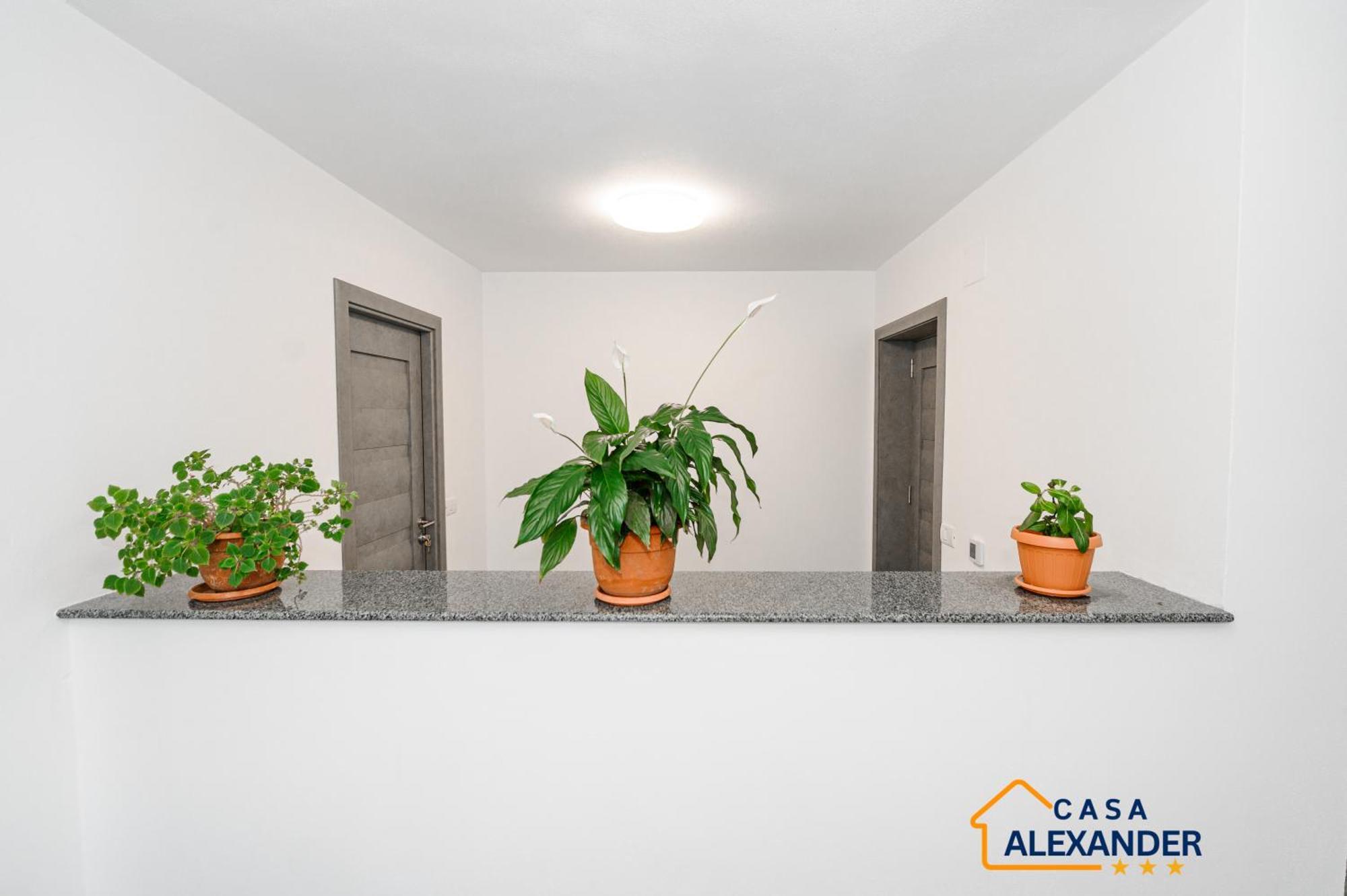 Călimăneşti Casa Alexander酒店 外观 照片