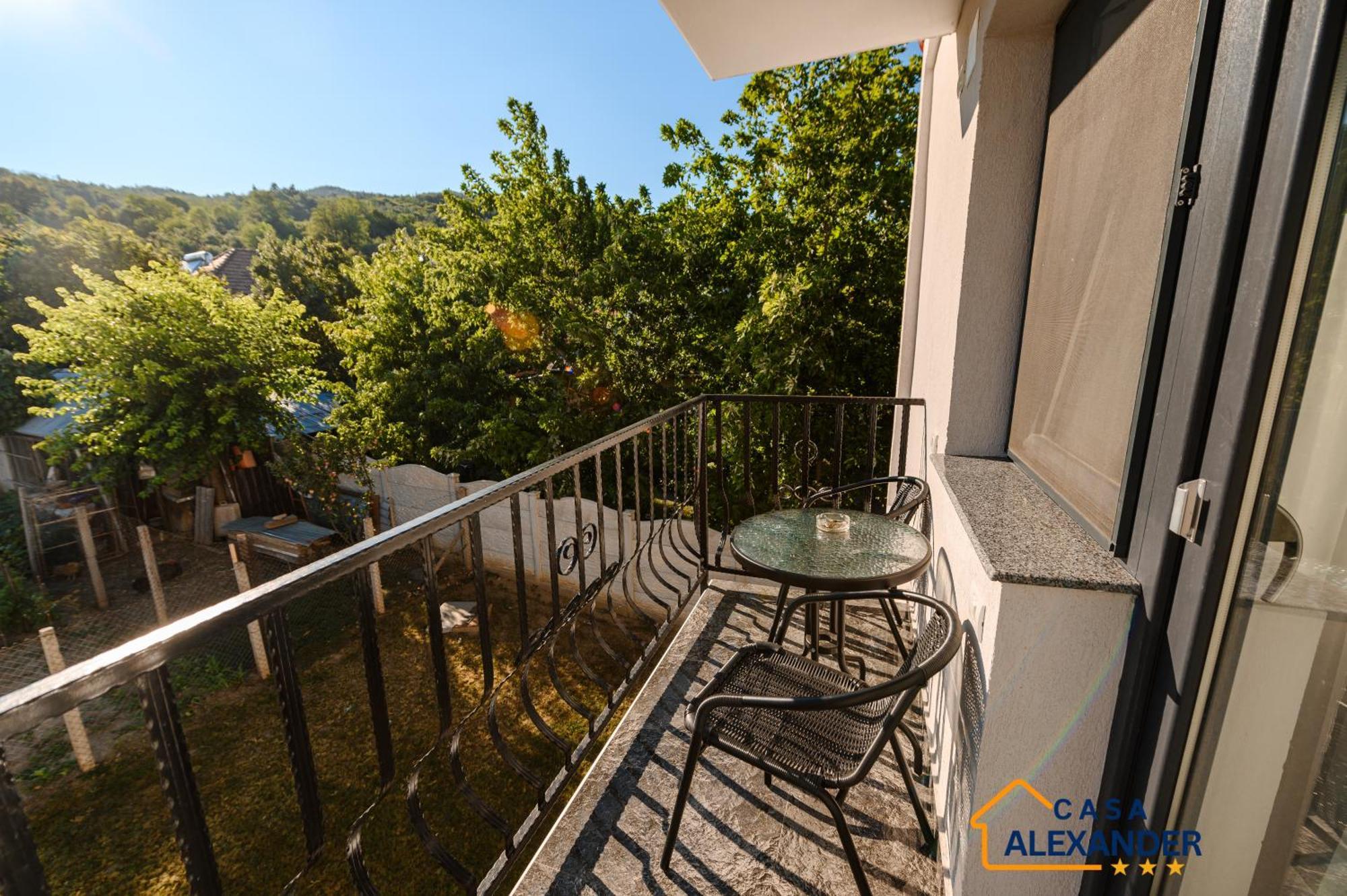 Călimăneşti Casa Alexander酒店 外观 照片