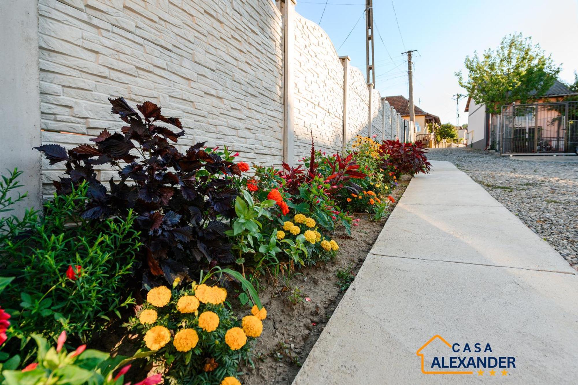 Călimăneşti Casa Alexander酒店 外观 照片